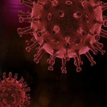 Coronavirus Miniaturbild